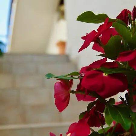 Appartement Petricevic Hvar Town